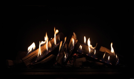 Газовый камин Schmid Ekko G L (R) 45