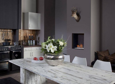 Газовый камин Faber Fyn 450